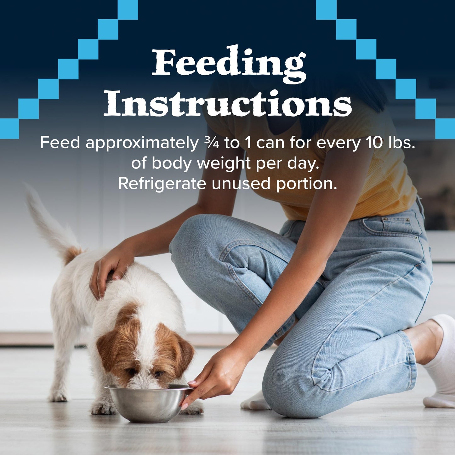 Blue Buffalo Wilderness Rocky Mountain Recipe Senior Wet Dog Food, High-Protein & Grain-Free, Made with Natural Ingredients, Red Meat Recipe, 12.5-oz. Cans (12 Count)