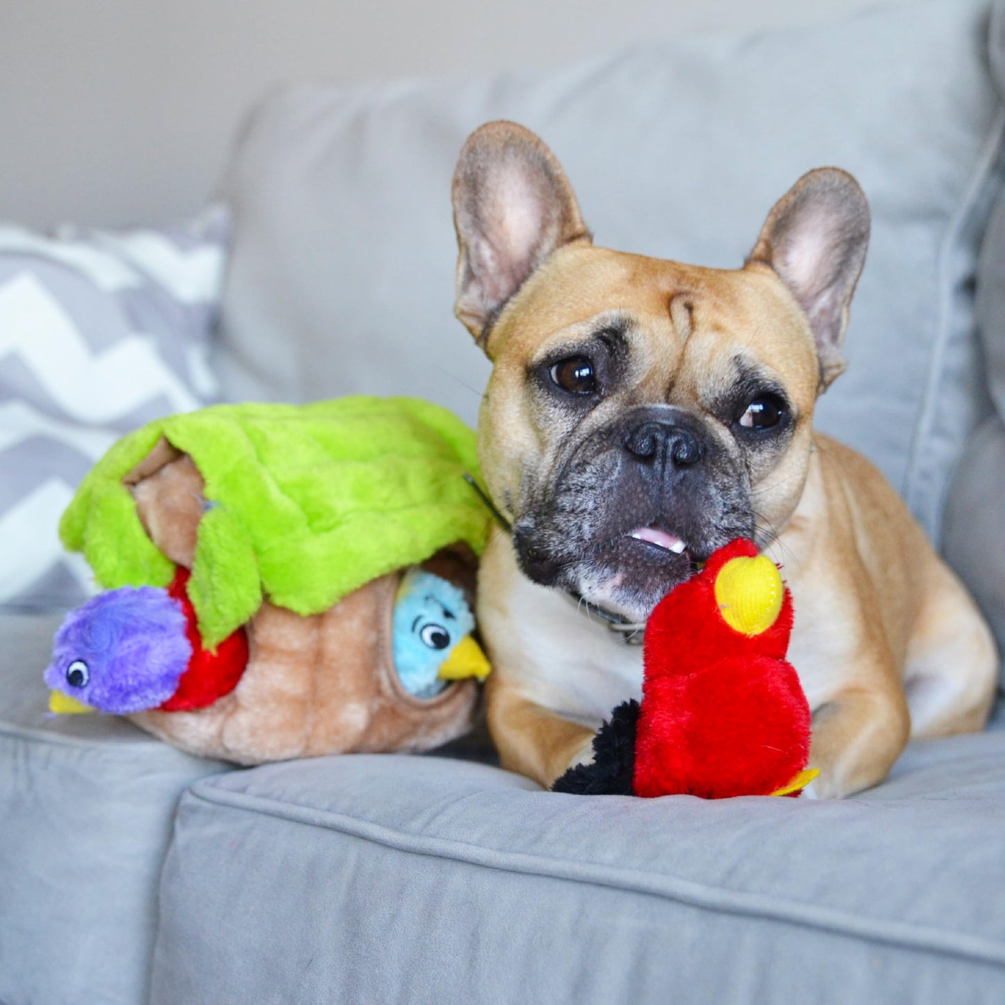 Outward Hound Hide A Bird Plush Dog Toy Puzzle