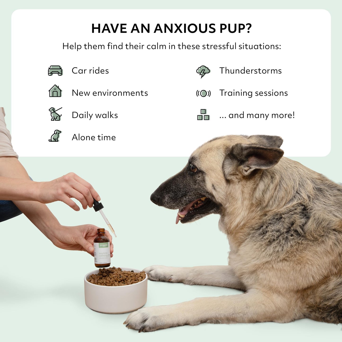 Reggie Anytime Calming Drops for Dogs | Natural Calming Tincture to Reduce Hyperactivity, Separation Anxiety, & Stress | Vet-Approved & Ideal for All Ages, Breeds, and Sizes - Chicken Flavor