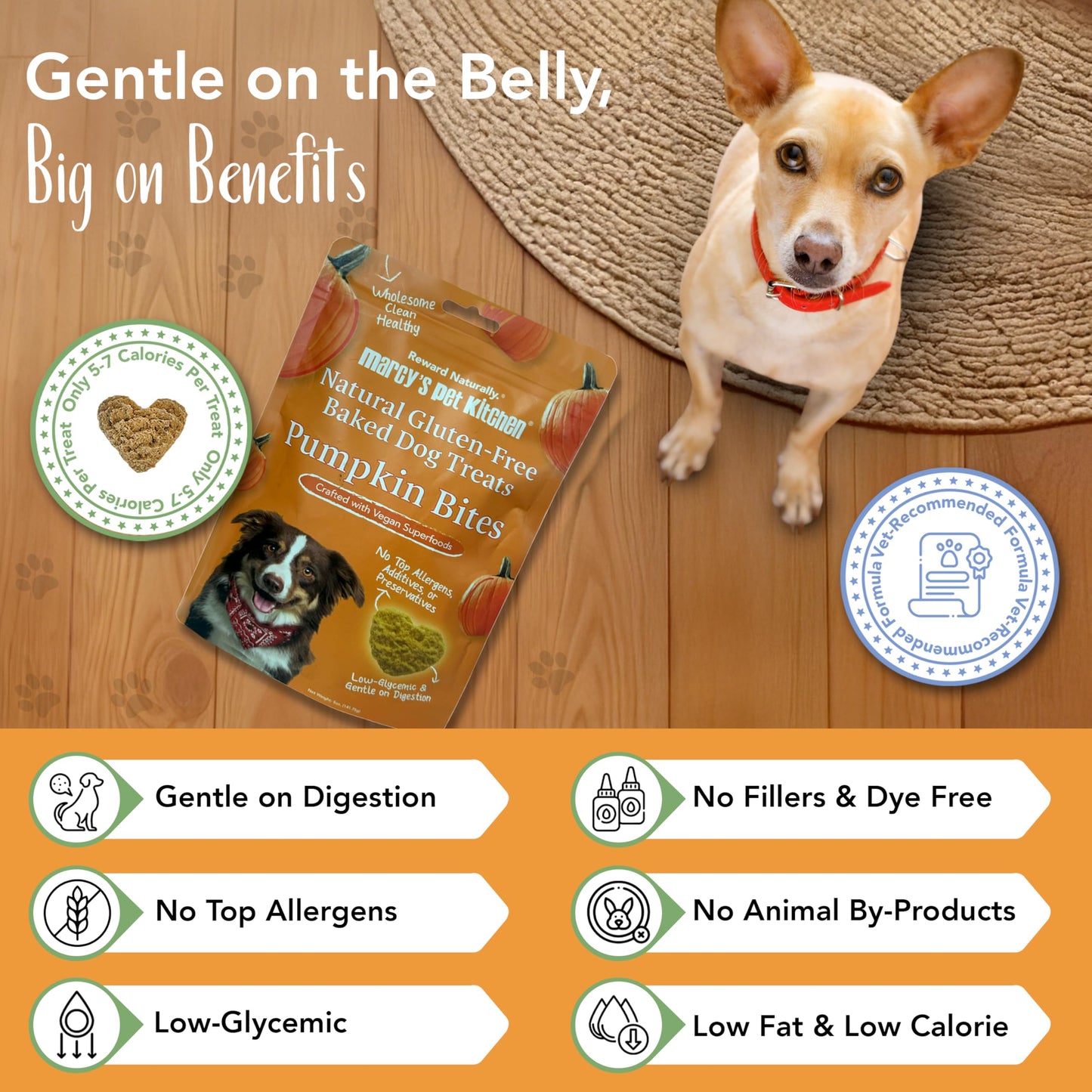 Marcy's Pet Kitchen- Diabetic All Natural, Crunchy, Pumpkin Biscuit Dog Treats - No Preservatives-Crunchy Approved- Vegan, Gluten Free, Human Grade, Made in The USA, Healthy Pumpkin Dog Treats