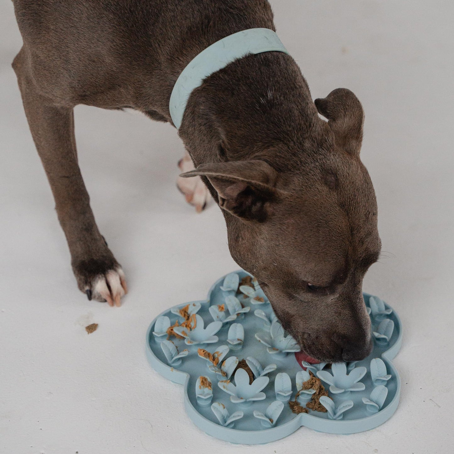 Dexypaws: Enrichment Snuffle Mat: Sky Blue Flower - Textured Dog Feeding Pad, Food Grade Silicone, Spread Food &Treats, Pet Soothing, Suction Back