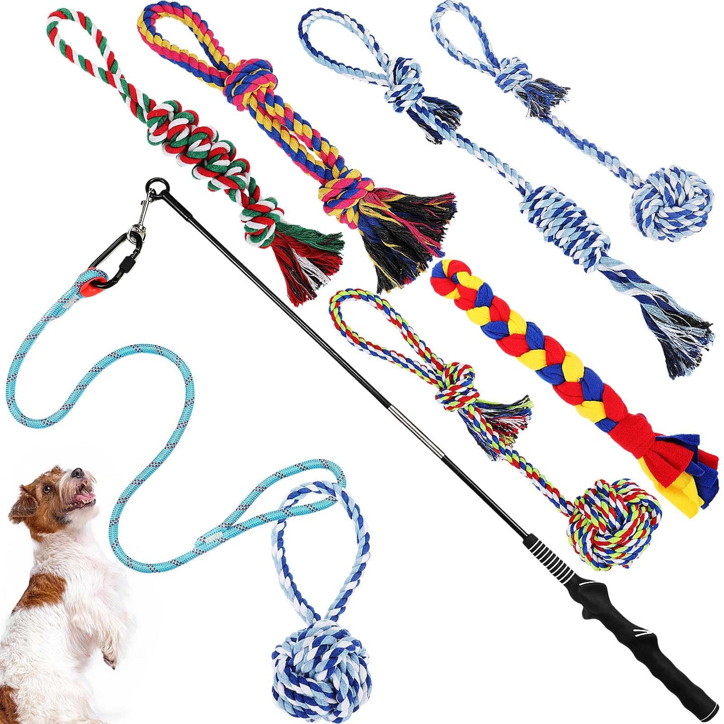 Leyndo 7 Pcs Flirt Pole for Dogs with 6 Flirt Pole Replacement Toys Puppy Teething Toys for Small Medium Dogs Exercise Training
