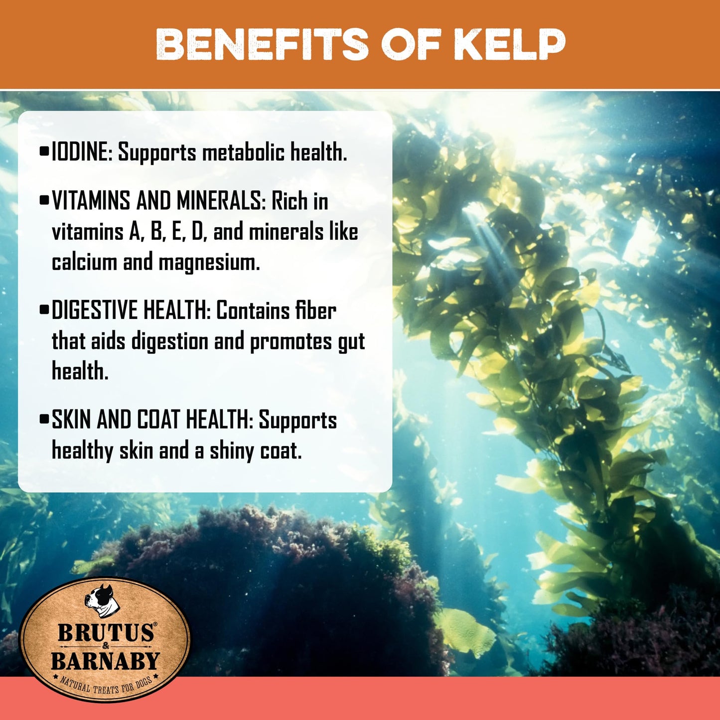 Sweet Potato Dog Treats - Grain Free, Salmon & Kelp Crunchy Sticks - Great Tasting, Promotes Positive Dog Gut Health with Natural Anti-Diarrhea Properties, No Preservatives Added (2lb Bag)