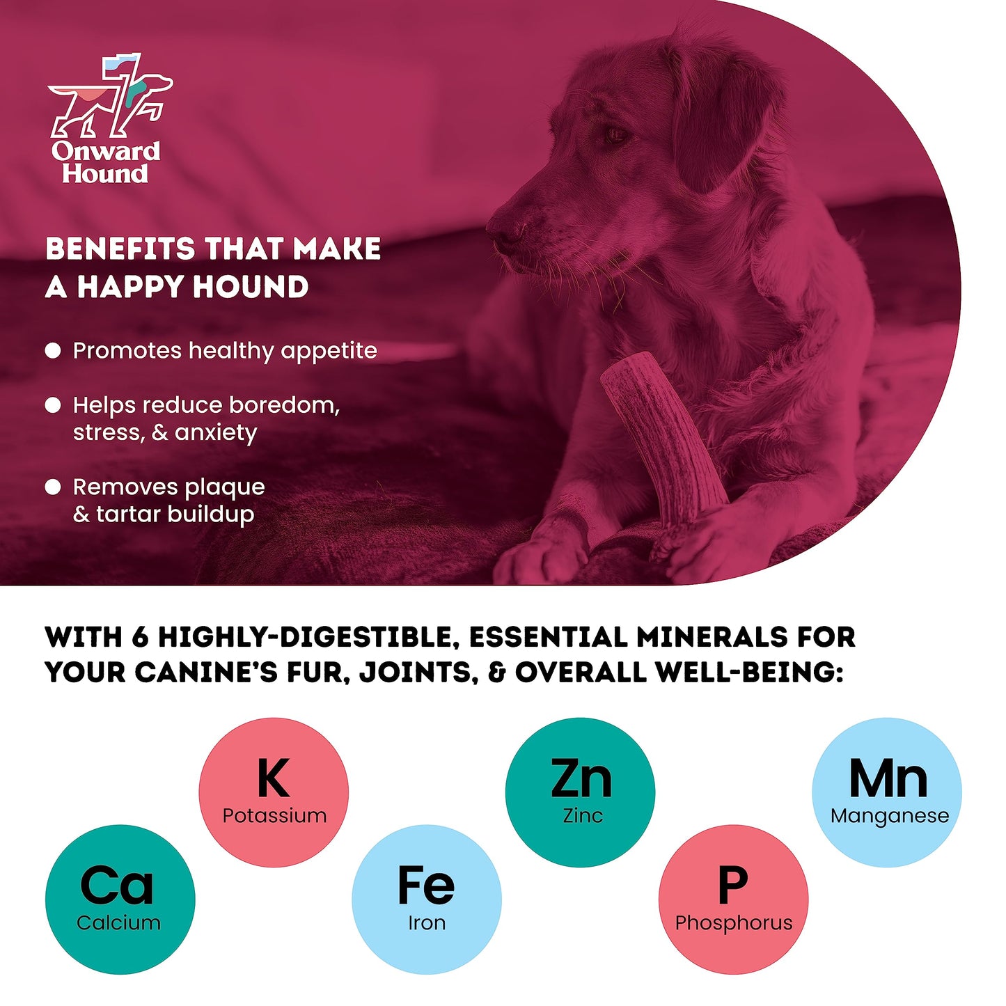 Onward Hound Elk Antlers for Dogs, 7"+ Large 3-Pack, Grade A Long Lasting Chew for Aggressive Chewers, Premium USA Naturally Shed Antler - Healthy, No Odor, Durable Dog Chew for 30-65lb Breeds