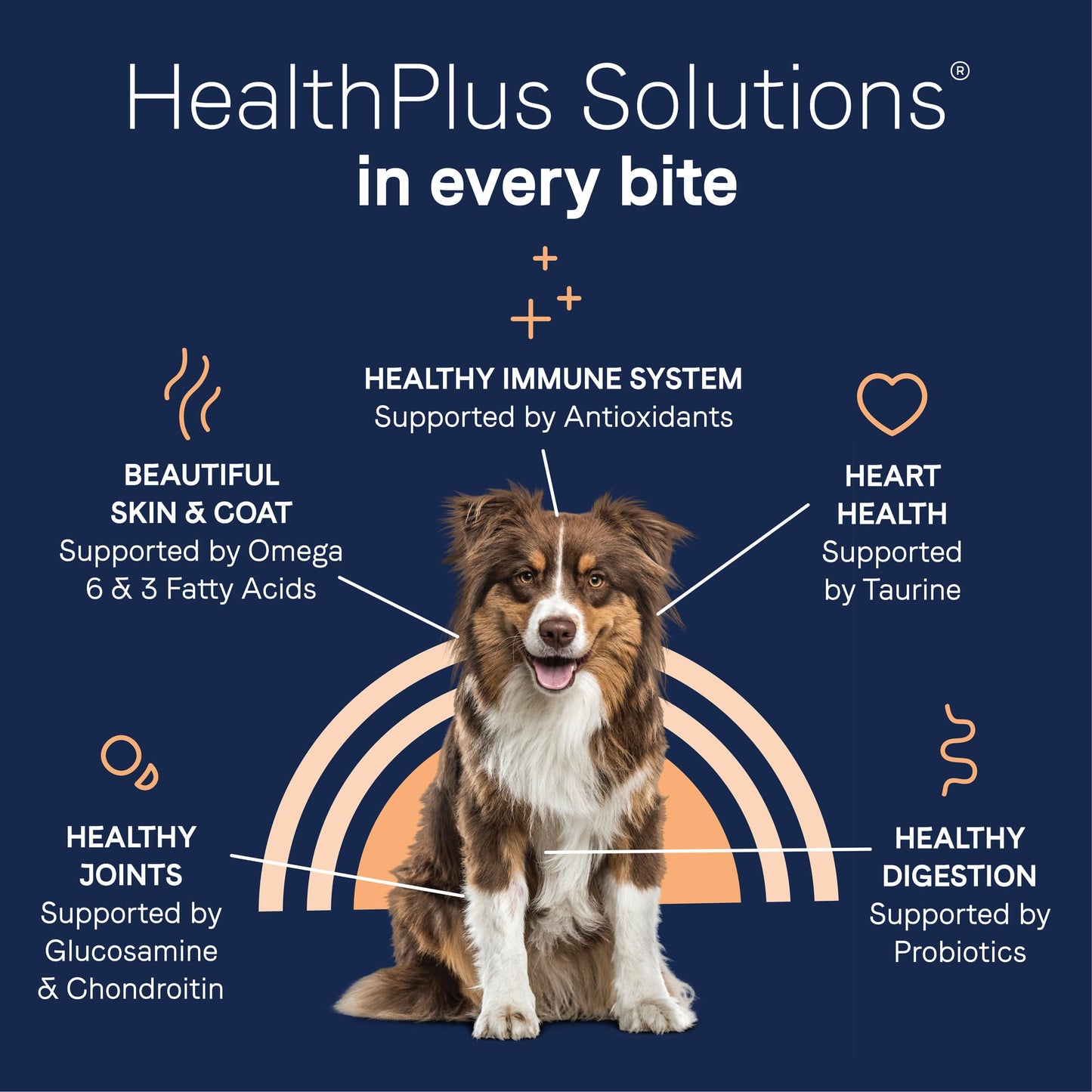 Canidae Pure Limited Ingredient Premium Adult Dry Dog Food, Real Salmon & Sweet Potato Recipe, 22 lbs, Grain Free