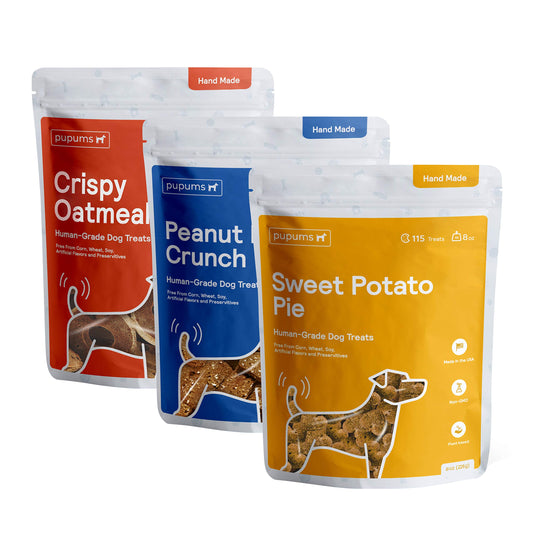 Natural Balance Limited Ingredient Rewards Jumpin' Stix, Grain-Free Dog Treats for Adult Dogs of All Breeds, Duck Recipe, 4 Ounce (Pack of 1)