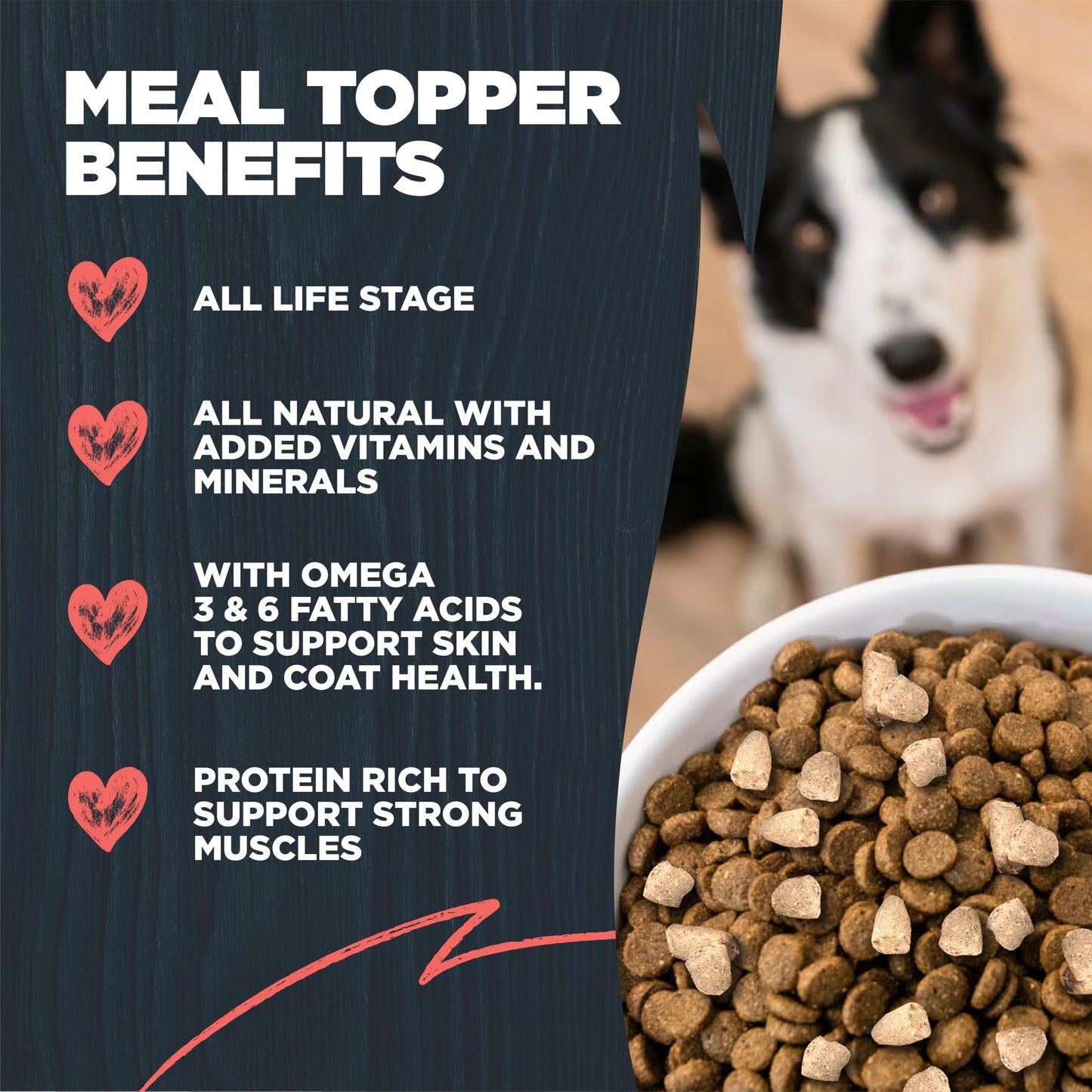 Blackwood Dog Food Topper, Cod and Salmon Recipe, 8 Ounce, High Protein with Omega 3 Fatty Acids, Use as Training Treat, Meal, or Topper