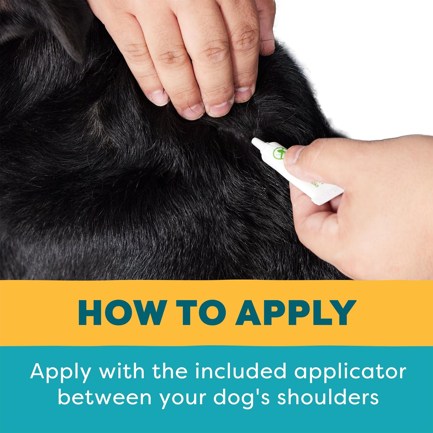 Only Natural Pet Flea and Tick Control for Large Breed Dogs (Over 40 lbs) - EasyDefense Flea & Tick Herbal Squeeze-On Drops - 3 Month Supply (L Sqz.)