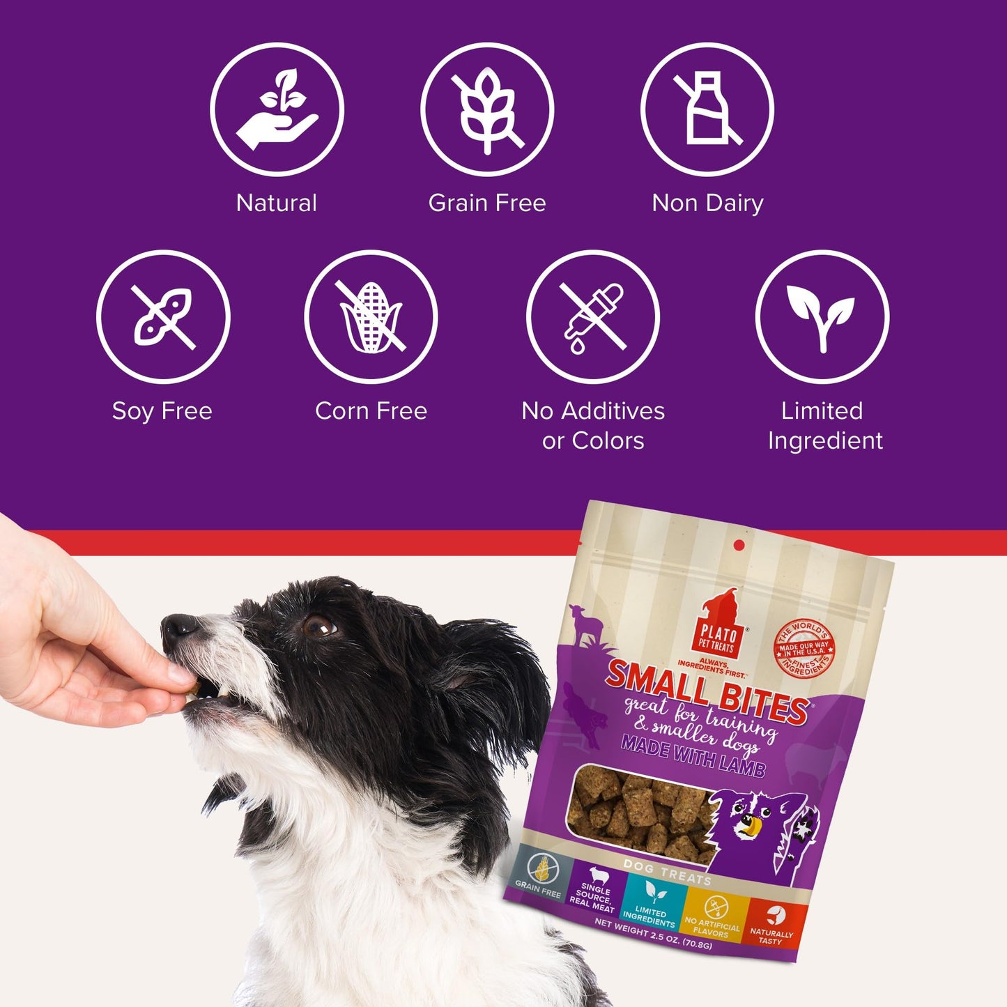 PLATO Pet Treats Small Bites - Air-Dried Training Treats for Dogs - Supports Healthy Digestion - Limited Ingredients - Lamb 6oz