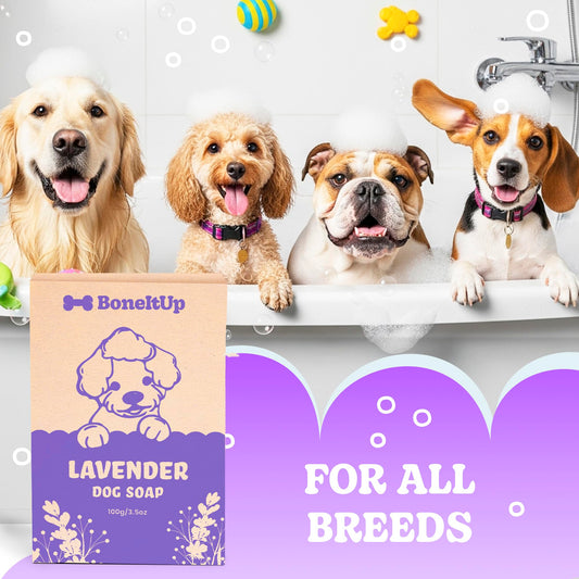 Lavender Dog Shampoo Bar 2 Pack – Gentle Pet Soap with Mango Butter & Nourishing Oils – Deodorizing Dog Shampoo for Smelly Dogs – Soothing, Hydrating Puppy Soap for Sensitive Skin & Odor Control