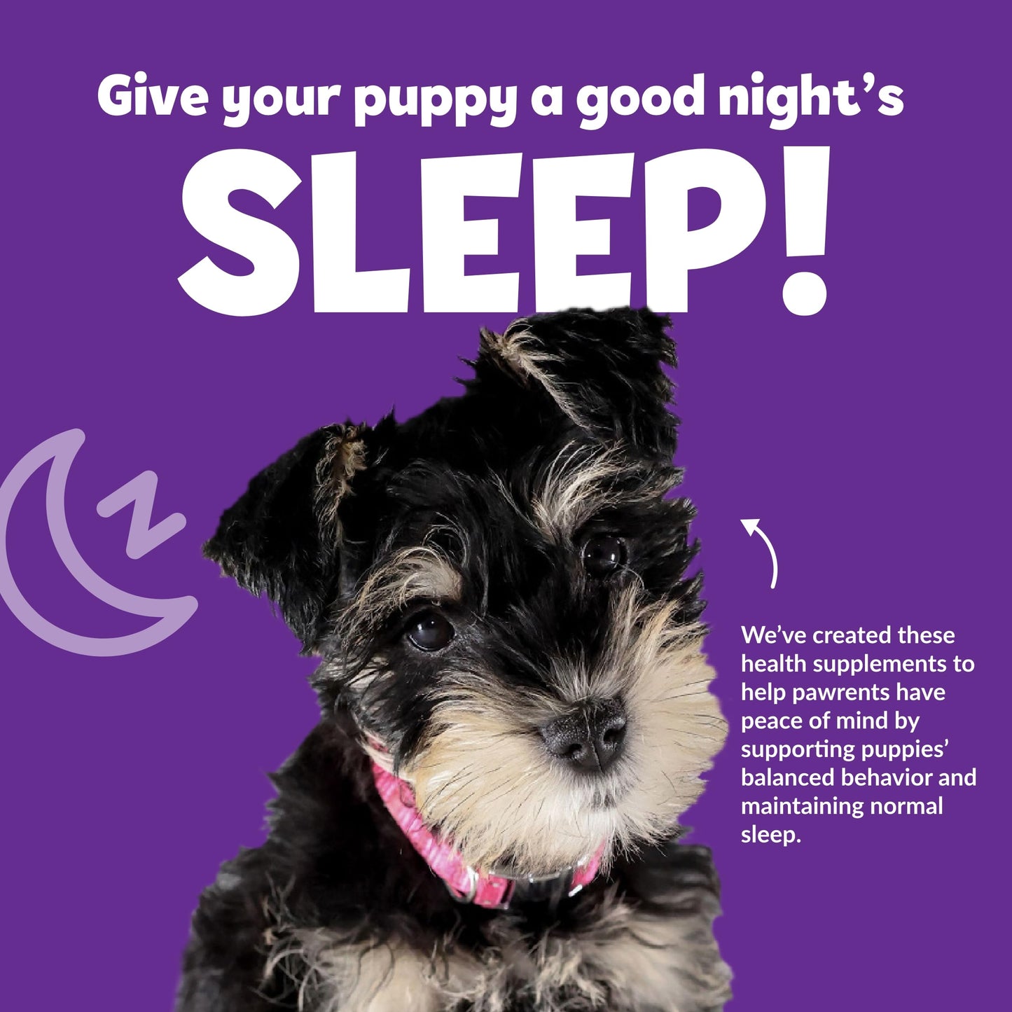 Snuggle Puppy Night Calm Puppy Bites with Melatonin, Chamomile & Ashwagandha - Calming Treats for Dogs - Melatonin for Dogs to Support Restfulness & Sleep - 60 Soft Chew Dog Treats