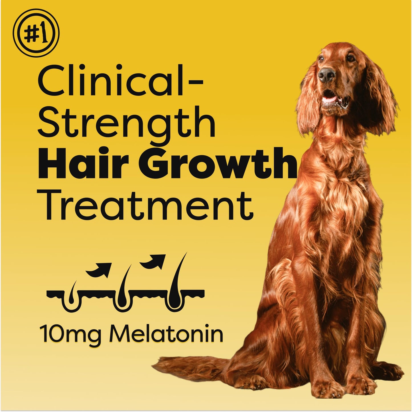 Doc Itchy Rejuvenating Hair-Grower Dog Pet Chews | 10mg Melatonin for Dogs | Hair Growth Booster | Senior Dog Energizer | Calming | Medical-Strength | Food Allergy Safe | Vegan | 90 Count