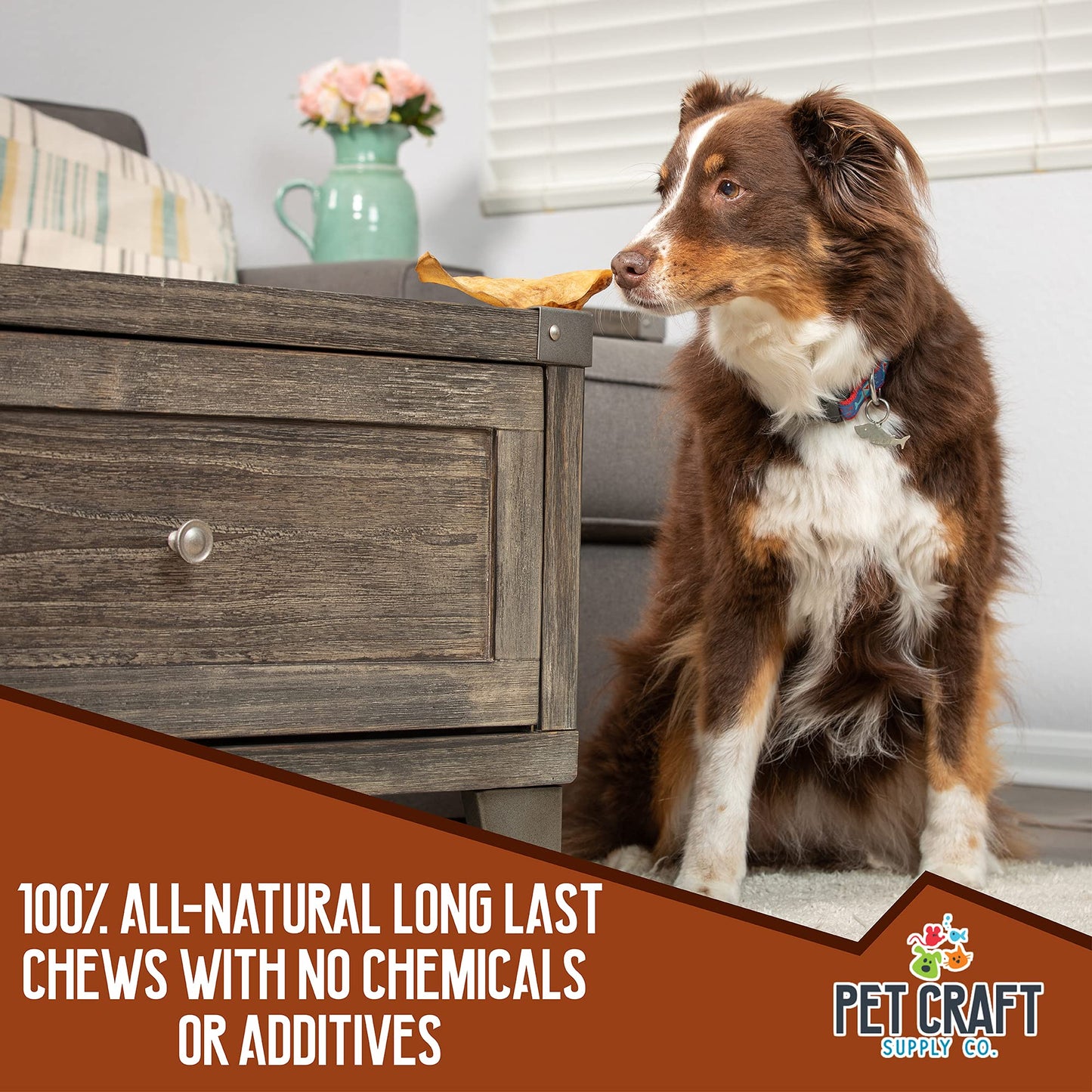 Pet Craft Supply Pure Natural Grass Fed Grain Free Water Buffalo Variety Pack of 11 Durable Tough Dog Chew for Aggressive Chewers and Puppies, Black