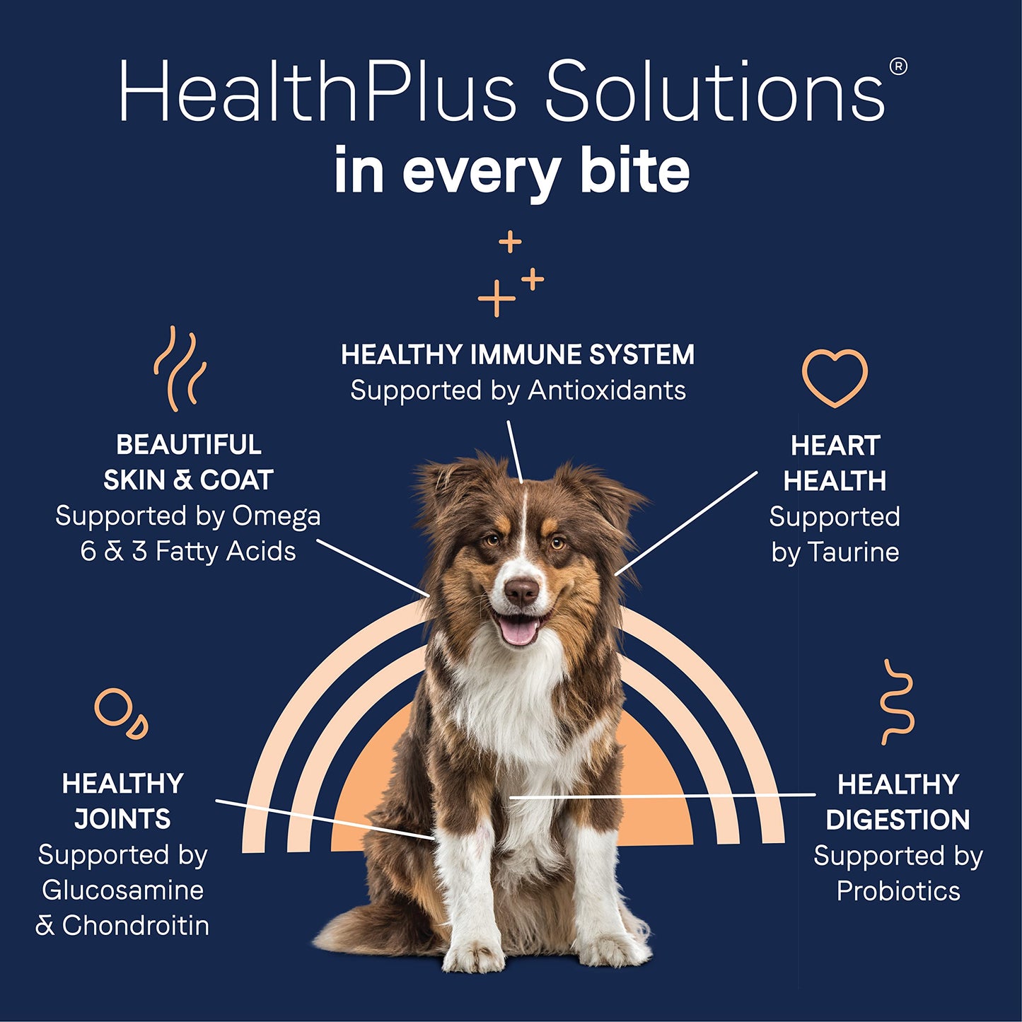 Canidae Pure Limited Ingredient Premium Adult Dry Dog Food, Real Salmon & Sweet Potato Recipe, 12 lbs, Grain Free