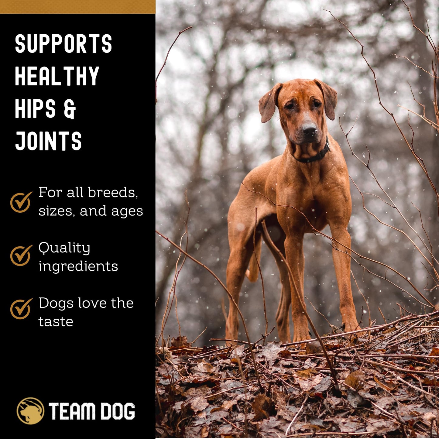 TEAM DOG Hip and Joint Chews for Dogs | Arthritis & Joint Support Supplements for Dogs | MSM, Chondroitin & Glucosamine | Small, Medium & Large Breed | Chicken, Duck & Pea Flavor | 120 Count