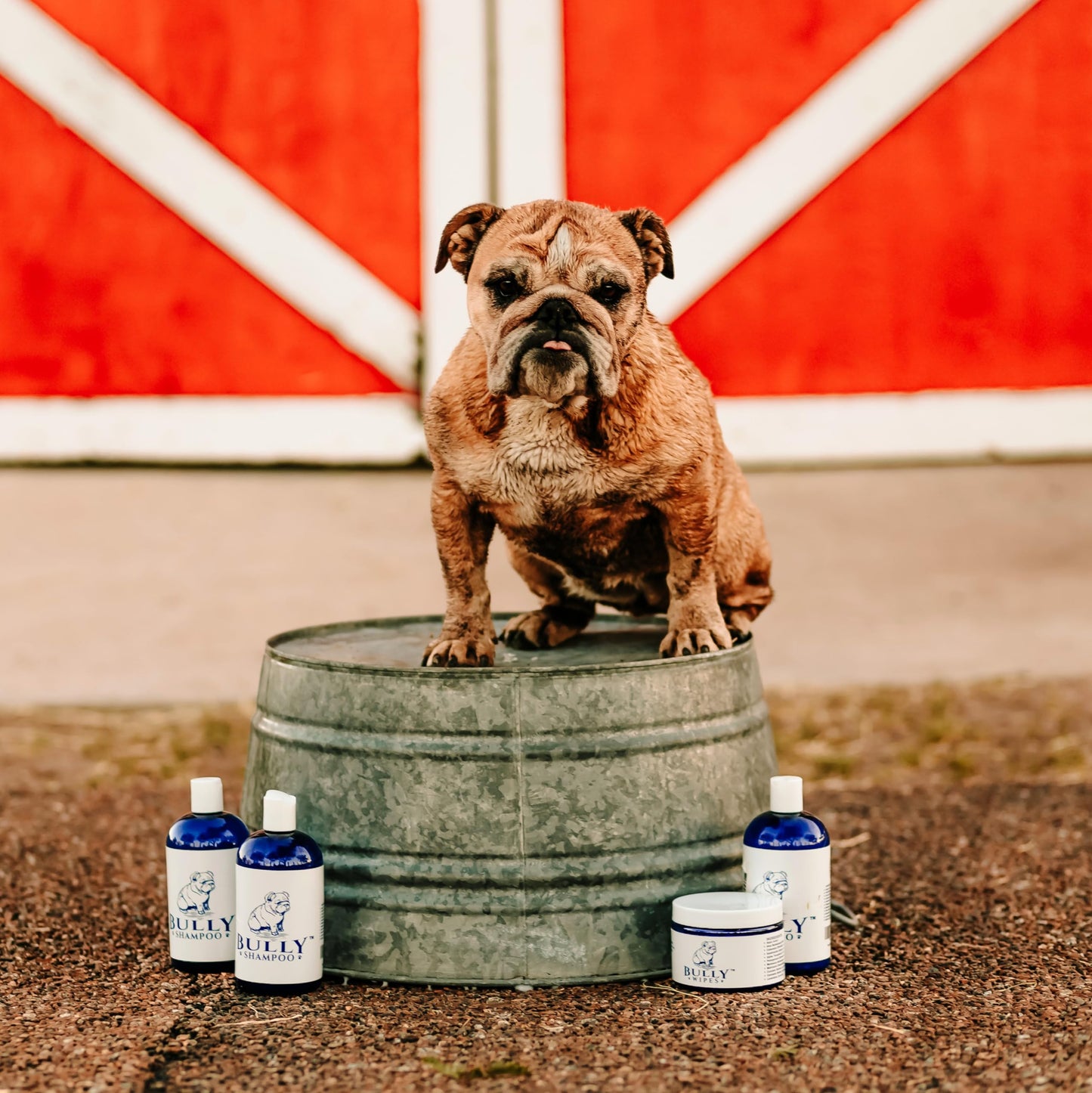 Pet Silk Tearless Puppy Shampoo 16oz, Specially Formulated Tear Free Shampoo for Sensitve Skin & Coat, Effective & Gentle, Fragrance & Dye Free for The at-Home Groomers!