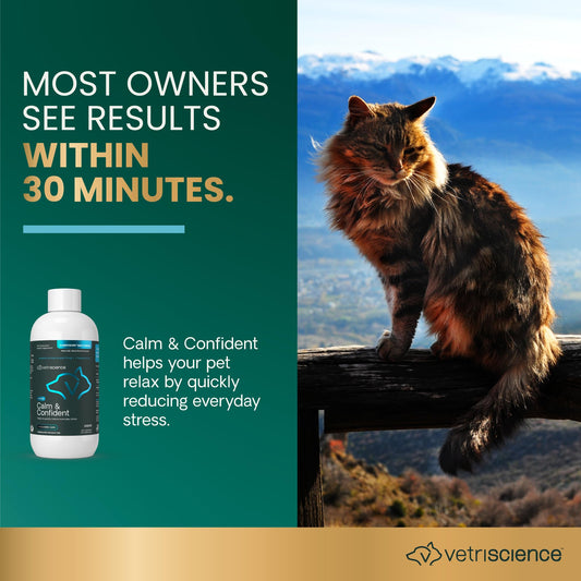 VetriScience Composure Max Liquid Formula - Clinically Proven Dog Calming and Cat Calming Supplement with Colostrum, L-Theanine & Vitamin B1 for Stress, Storms, Separation & More - 8 oz