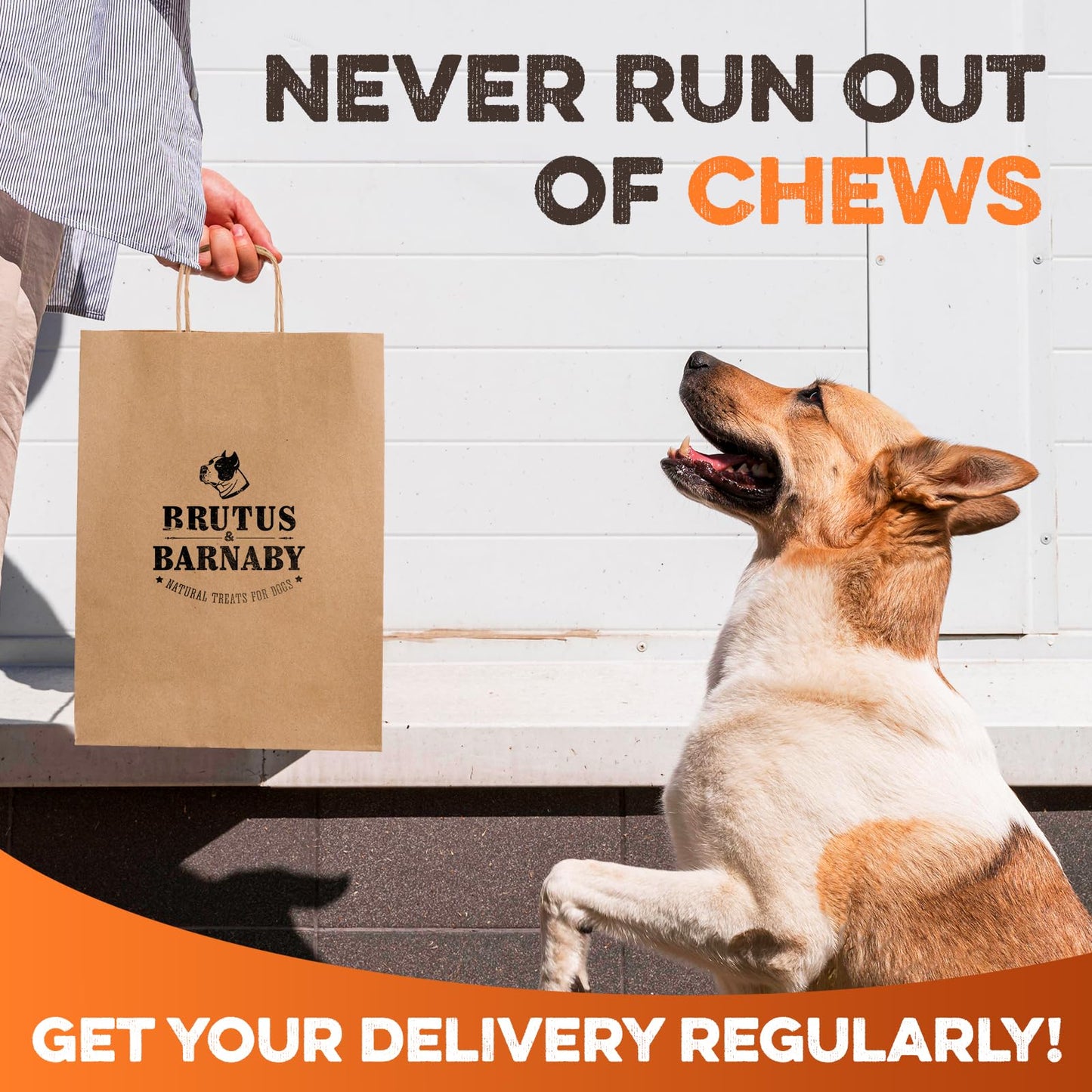 BRUTUS & BARNABY Yak Cheese Himalayan Dog Chews for Aggressive Chewers – Rich in Nutrients, Long Lasting Yak Chews for Small to Large Dogs.(8-pk)