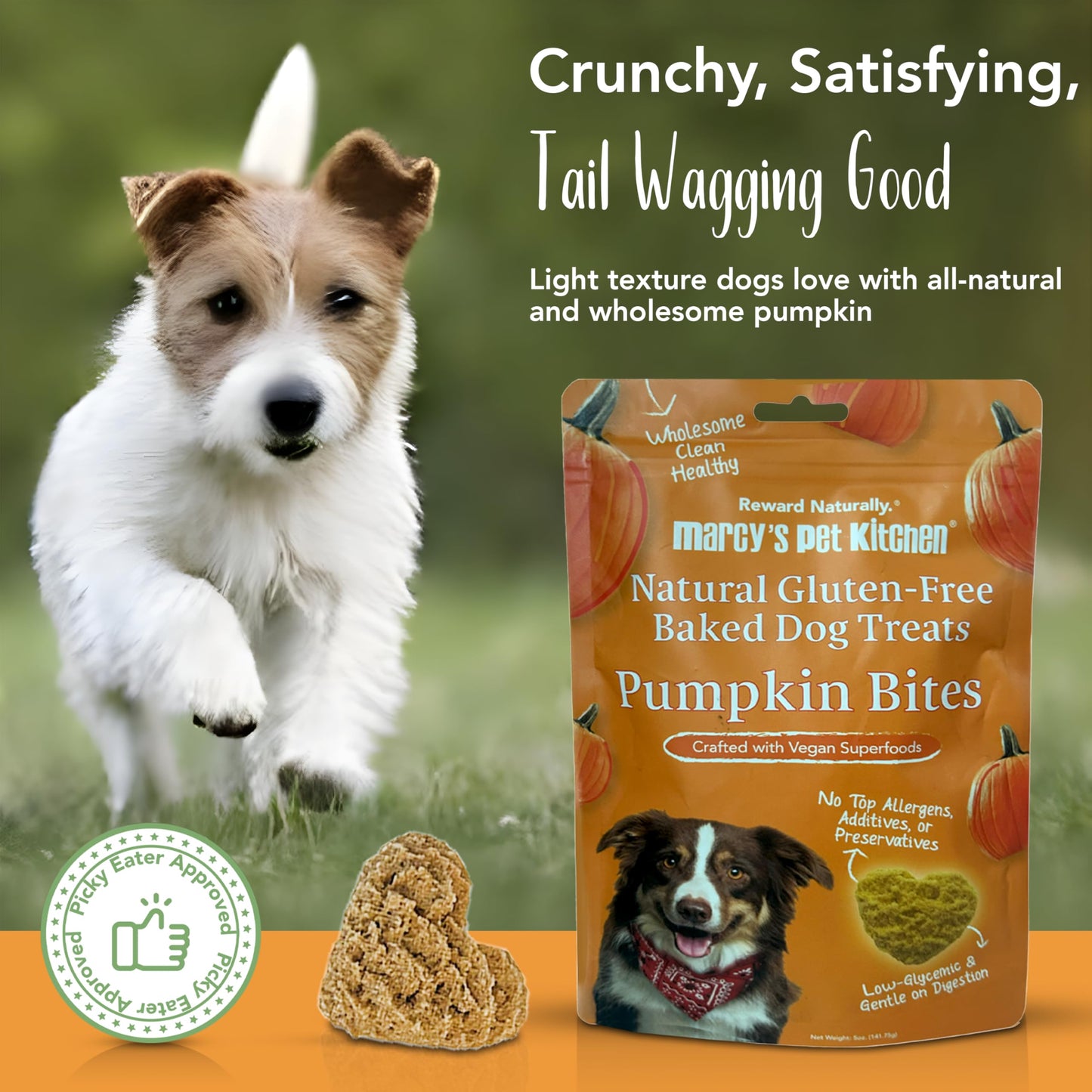 Marcy's Pet Kitchen- Diabetic All Natural, Crunchy, Pumpkin Biscuit Dog Treats - No Preservatives-Crunchy Approved- Vegan, Gluten Free, Human Grade, Made in The USA, Healthy Pumpkin Dog Treats