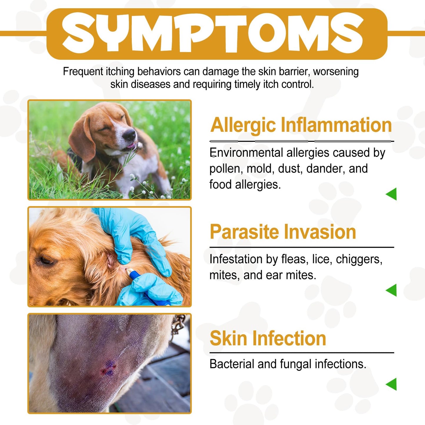 asusxcli Allergy Relief Drops for Dogs,Allergy and Immune,Immune Support Supplement,Dog Supplement,Natural Pet Supplement for Dog Allergy Relief with Turmeric & Milk Thistle