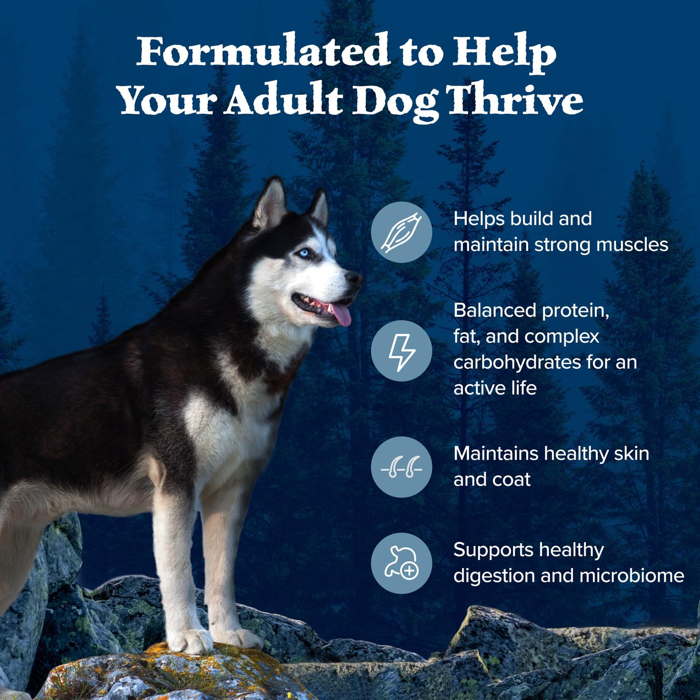 Blue Buffalo Wilderness Adult High-Protein Dry Dog Food with Real Chicken, Grain-Free, Made in the USA with Natural Ingredients, Chicken, 4.5-lb Bag