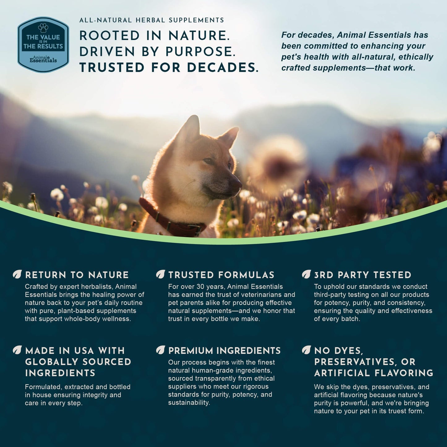 Animal Essentials Tranquility Blend for Dogs & Cats - Calming Supplement, Valerian Root, Liquid Drops, Herbal Formula - 1 Fl Oz