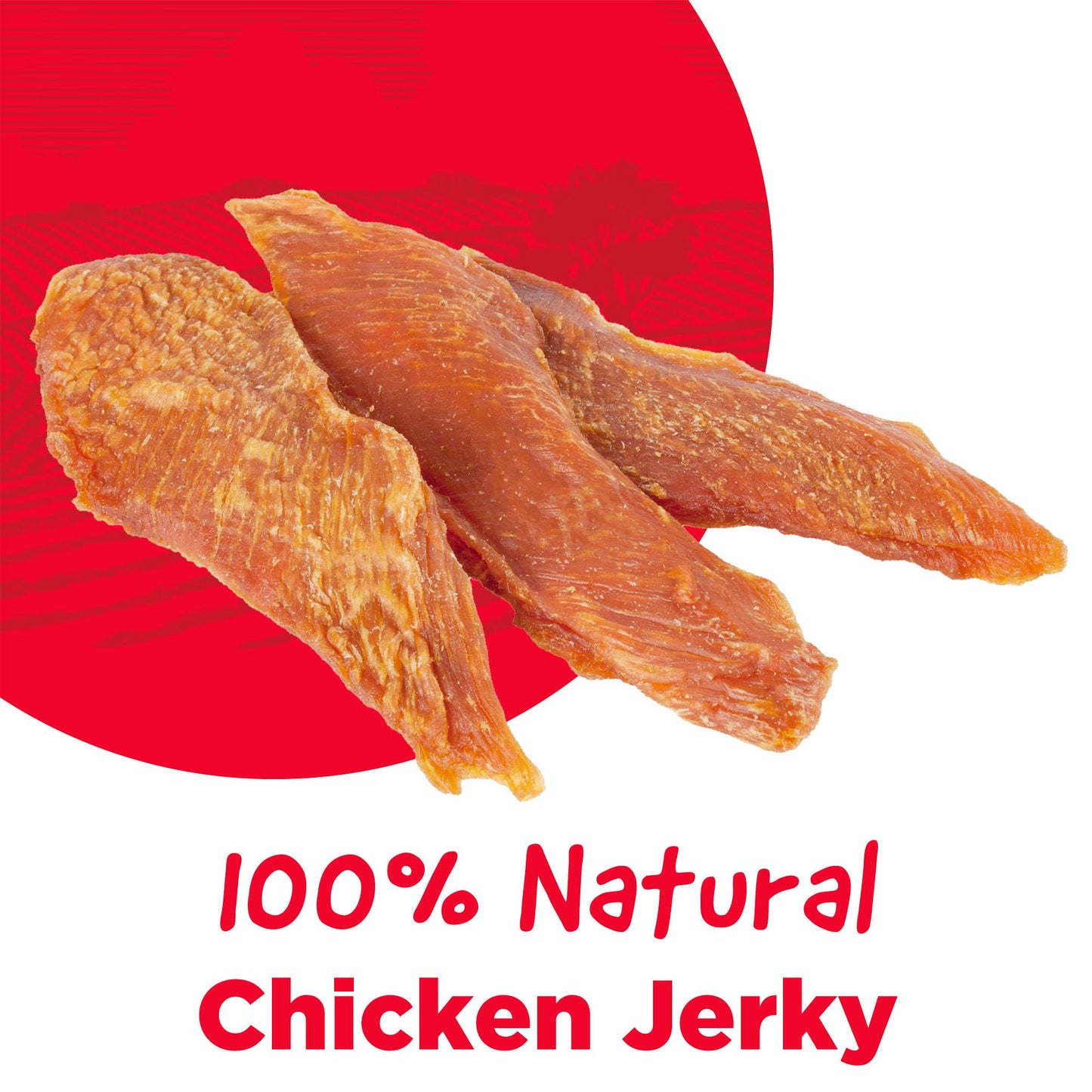 Country Kitchen Chicken Jerky Tender Dog Treats, Made with Real Chicken,High Protein, Low Fat, No Artificial Colors, 16 oz