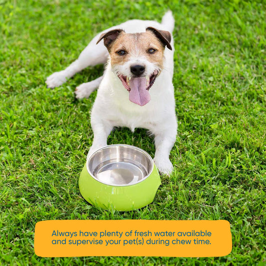 Fish Sticks Rolls for Dogs - 6 Inches (30 Count) Healthy Fish Dog Treats, Premium Chews for Dogs, Rich in Omega-3 Fatty Acids | Protein Chew with Health Benefits