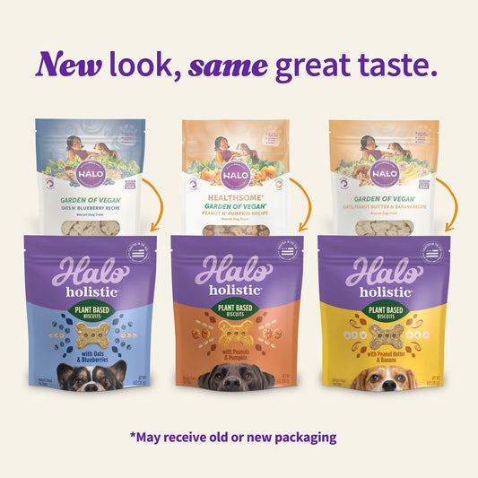 Halo Holistic Vegan Dog Treats Variety Pack, Plant-Based Three Bag Treat Pack with Oats & Blueberries, Peanut Butter & Banana, Peanuts & Pumpkin, 8 Oz Bag(Pack of 3)