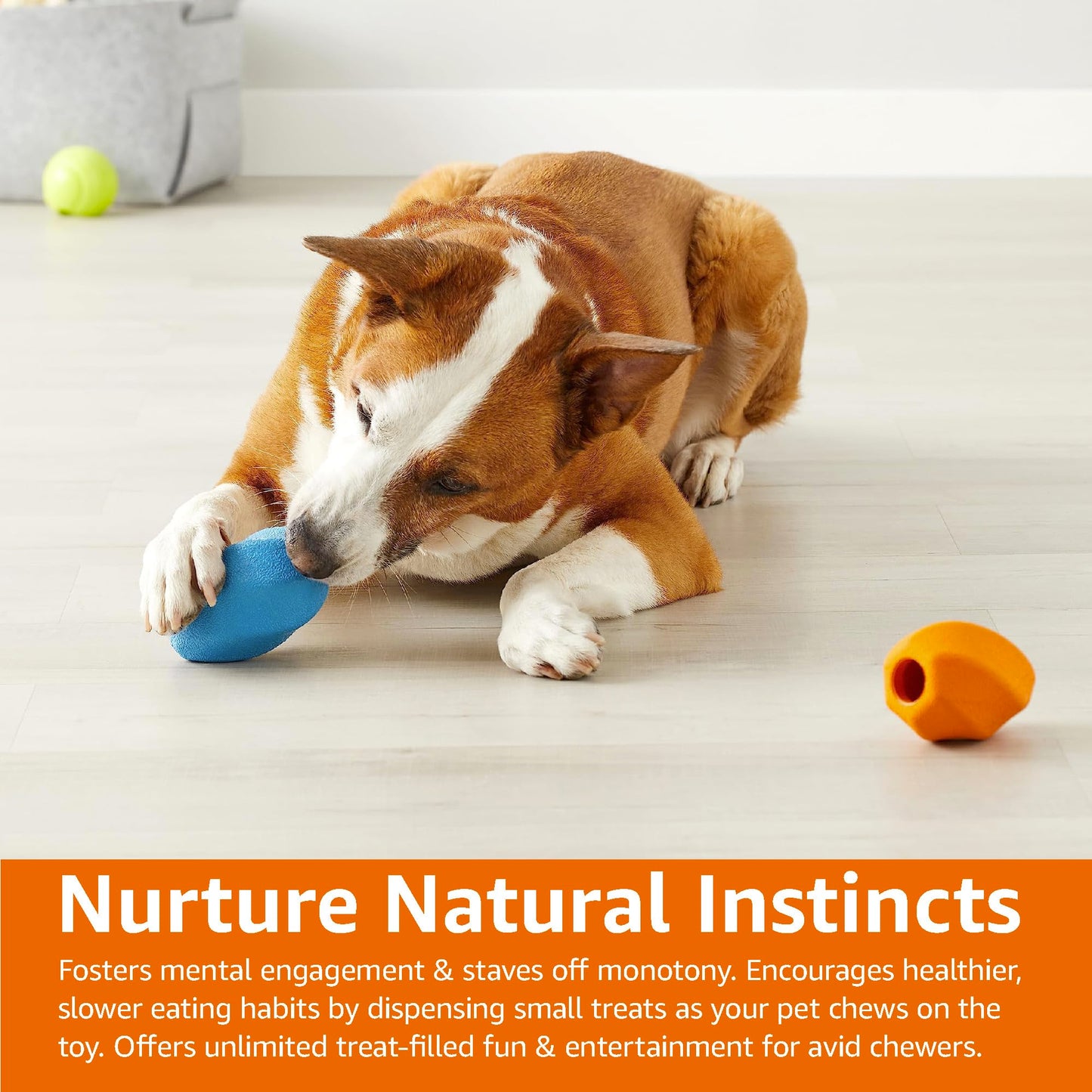 Race&Herd Original Dog Scent Training Kit, Scent Work Training Kit for Dogs - Nosework for Dog Mental Stimulation Agility Training Equipment for Dogs, Brain Games Smell Training Kit for Loss of Smell