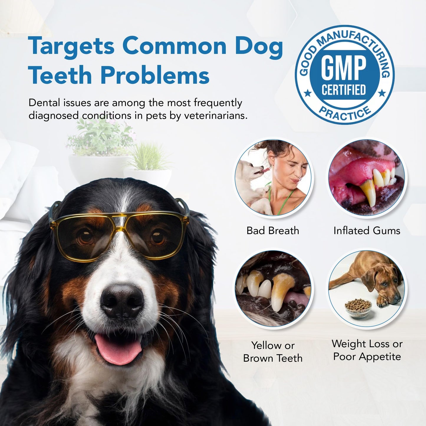 Spanielbuns Dental Powder for Dogs - Plaque Control & Tartar Remover, Breath Freshener with Probiotics, Vitamins & Natural Extracts - Perio Support Powder for Dogs, 2.82 oz (80g)