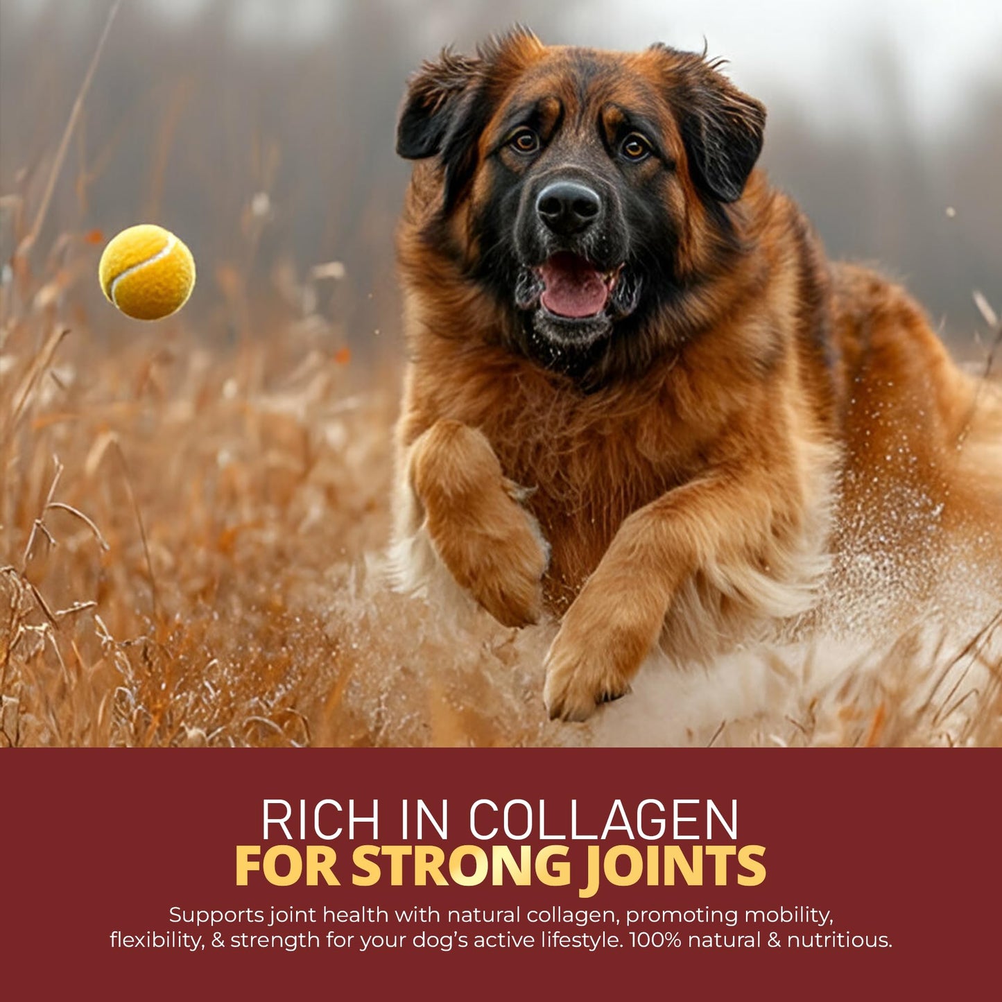 Mr Ros Natural Beef Cartilage for Dogs - Premium Collagen Chews for Aggressive Chewers - Long Lasting Dog Treats for Joint and Skin Health - Healthy Pet Treats - 150g per Bag