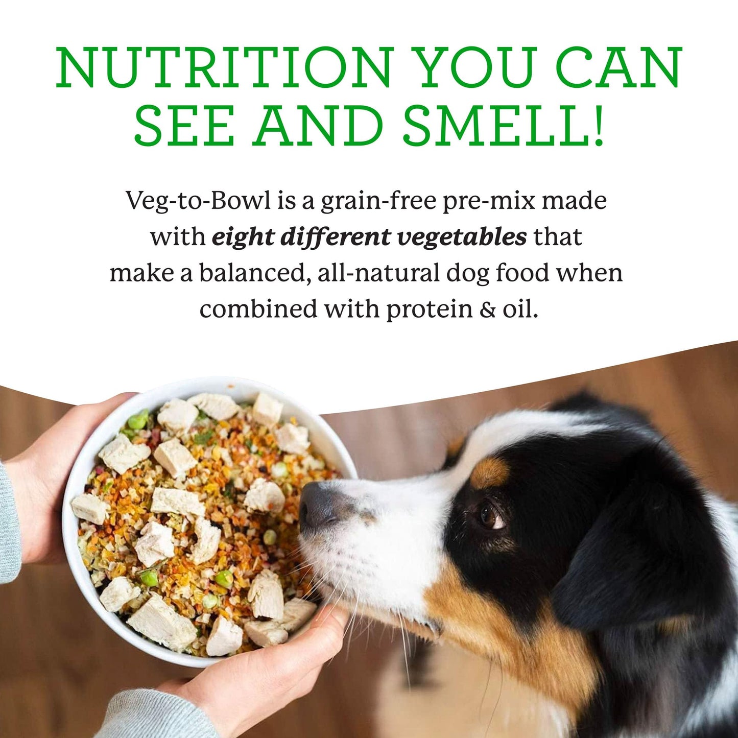 Dr. Harvey’s Veg-to-Bowl Pre-Mix Dog Food, Grain Free for a Whole Food Diet (5 pounds)