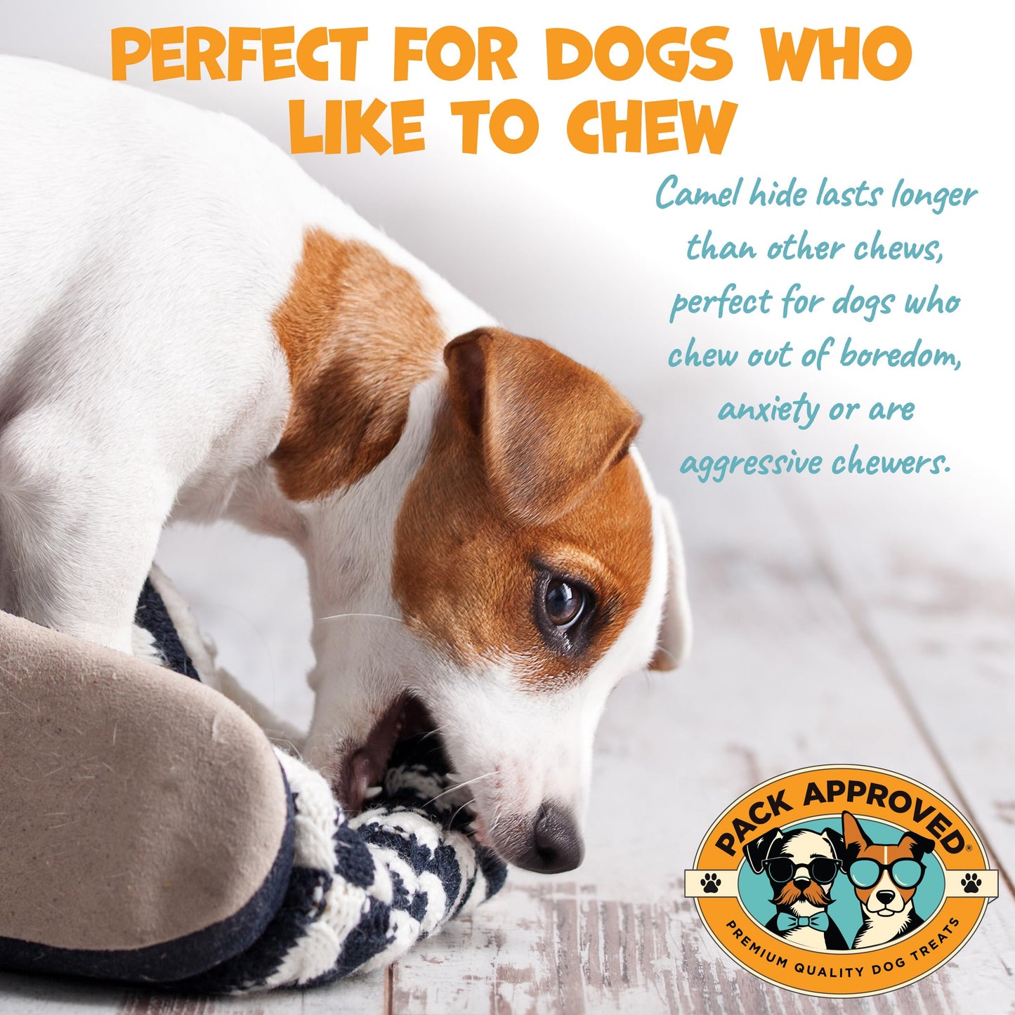 Pack Approved Camel Skin Dog Chews for Aggressive Chewers - Hypoallergenic Natural Collagen Sticks for Dental Health & Protein Boost - Long Lasting Treats for Large Dogs