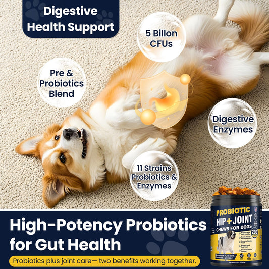 Hip and Joint Supplement for Dogs Dog Probiotics Glucosamine Chondroitin MSM Chew for Dog Arthritis Pain Relief Extend Joint Care, Probiotic for Digestive/Gut Health for Large/Small/Senior Breed Dogs