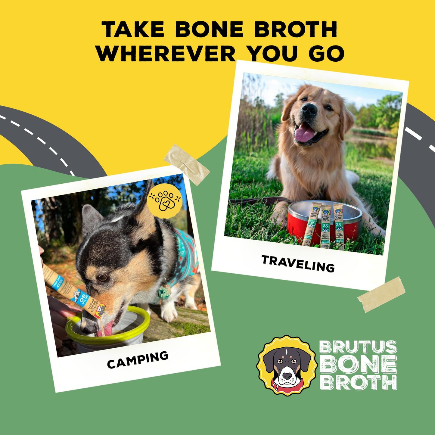 Brutus Bone Broth for Dogs - Bone Broth Powder with Chondroitin Glucosamine & Turmeric - Human Grade Food Toppers for Dry Food & Picky Eaters - 5 Stick (Chicken)