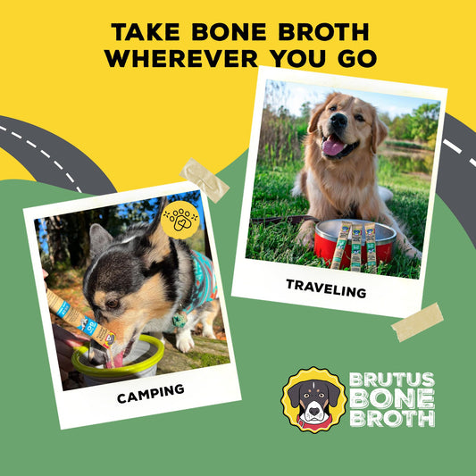 Brutus Bone Broth for Dogs - Bone Broth Powder with Chondroitin Glucosamine & Turmeric - Human Grade Food Toppers for Dry Food & Picky Eaters - 5 Stick (Chicken)