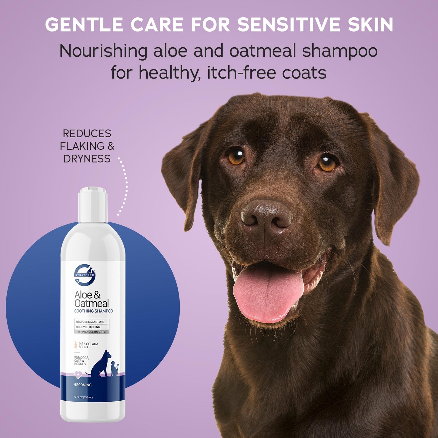 Stratford Pharmaceuticals Oatmeal Shampoo - Soap Free, Soothes Sensitive Skin with Aloe for Itchy Dry Skin for Dogs and Cats, 12 oz
