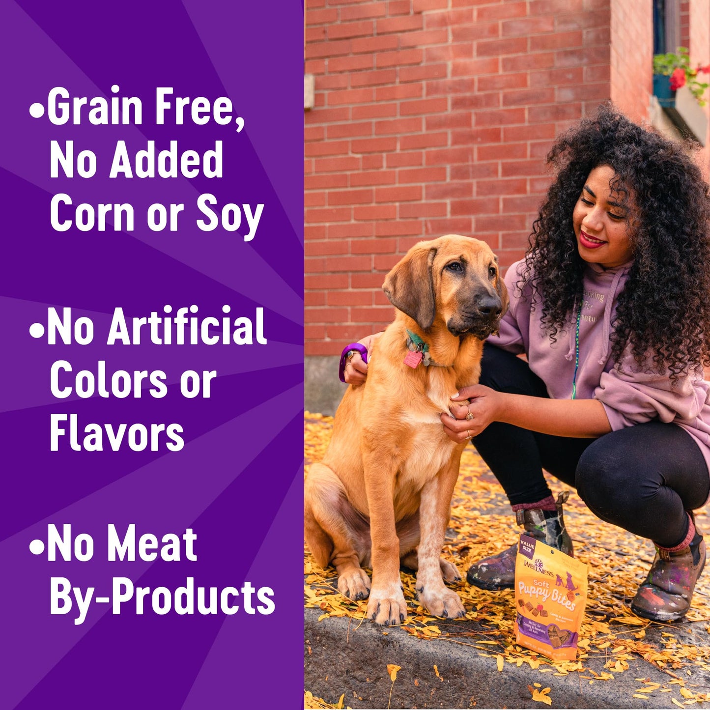 Wellness Puppy Treats, Natural, Training Treat, Grain Free, Soft Lamb & Salmon (3 Ounce Bag)