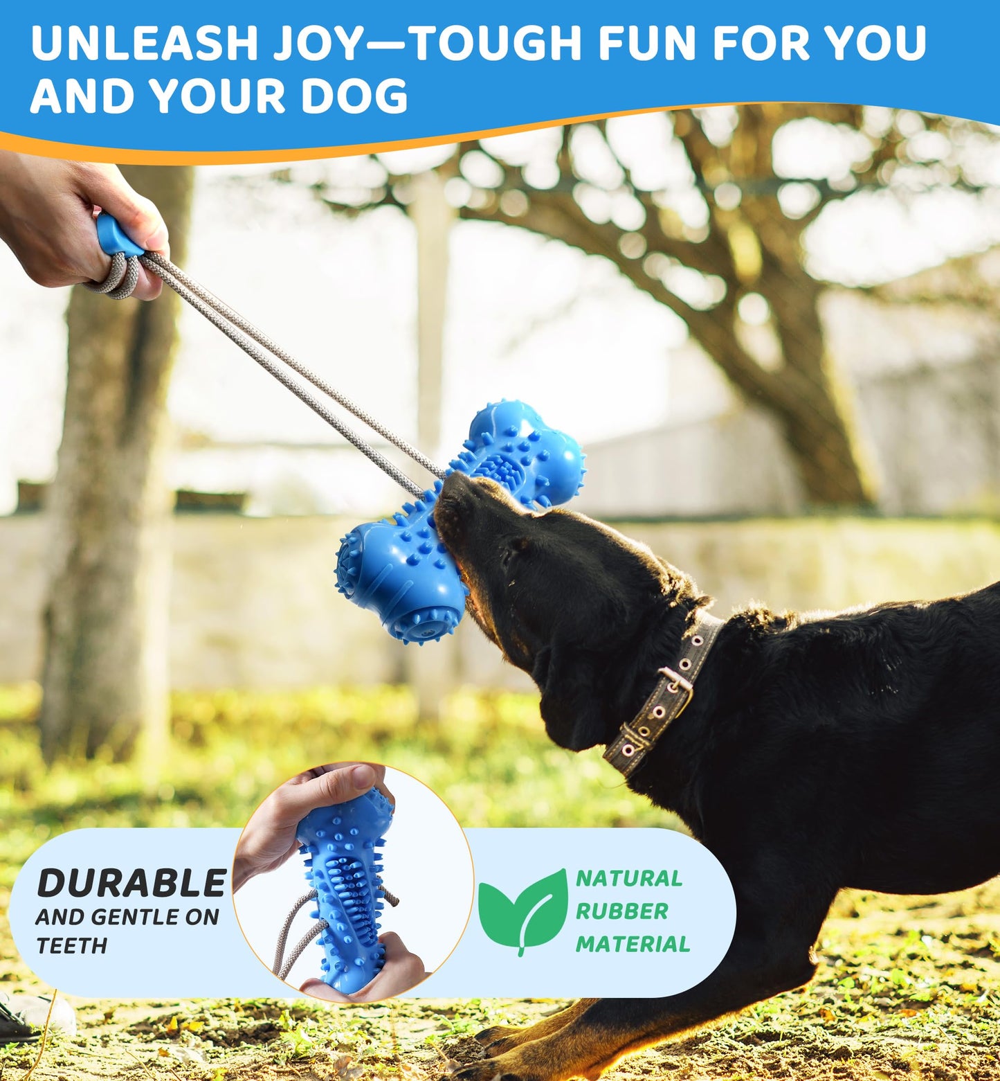 IPTPAS Dog Chew Toy for Aggressive Chewers, Durable Dental Cleaning Treat Toy, Food Dispensing Interactive Toy for Small, Medium & Large Dogs, Teeth Cleaning, Keep Busy, Tough Natural Rubber (Blue)