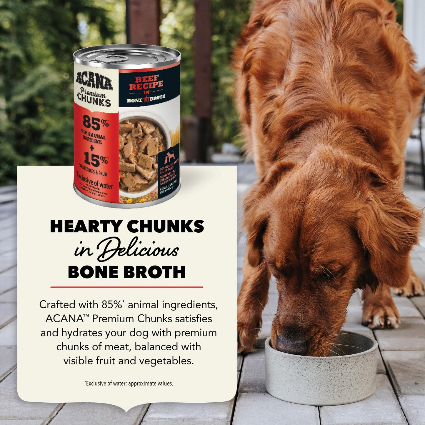ACANA Premium Chunks in Bone Broth Grain-free Wet Dog Food Beef Recipe 12.8oz Cans (12 Count)