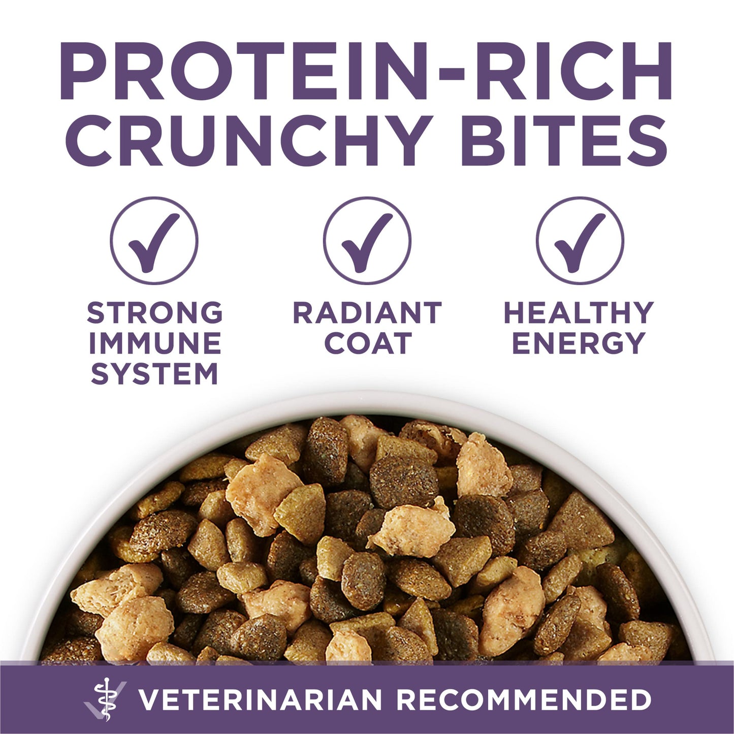 Purina ONE High Protein Dry Senior Dog Food Plus Vibrant Maturity Adult 7 Plus Formula - 31.1 lb. Bag