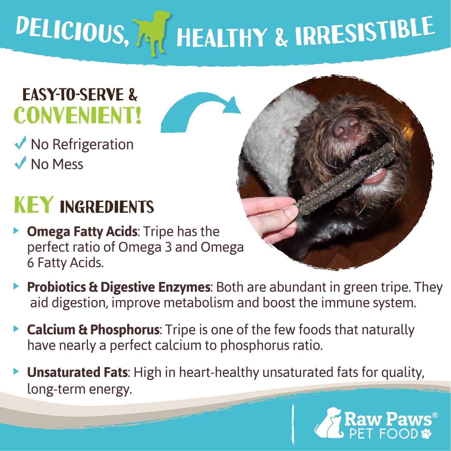 Big Lu Chicken Jerky Dog Treats – Premium Natural Air-Dried USA Chicken Breast for Dogs, High Protein, Grain-Free, No Additives or Preservatives, 4oz