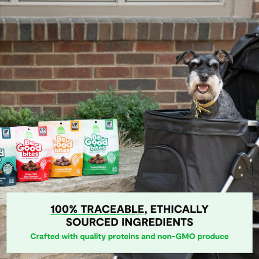 Open Farm, Be Good Bites, Soft Dog Training Treats, Small & Chewy, Made with Ethically & Sustainably Sourced Ingredients, Non-GMO Fruits & Grains, Turkey Recipe, 6oz Pouch