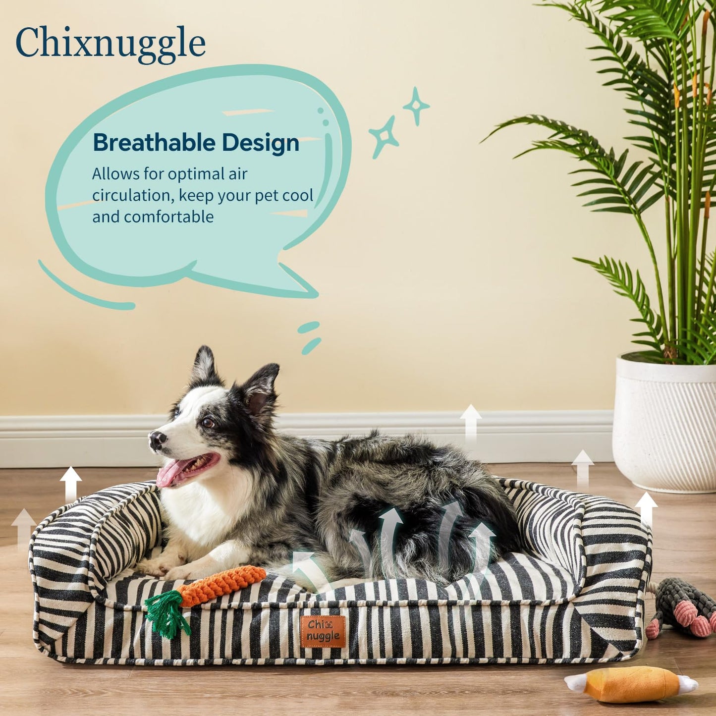 ChiXnuggle Dog Bed for Large Dogs - Washable Canvas Pet Beds, Breathable & Low-Step Entry Easy for Senior Dog, 36x27x7inches