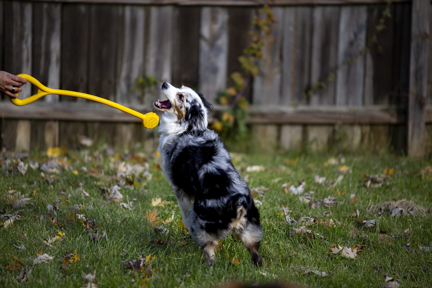 Jersey Dog Co Ultimate Dog Tug Toy, Dog Pull Toy, Tug of War Puppy Toy, Safe Chew Toys, Made in The USA Rubber-Free Toy 23” Long