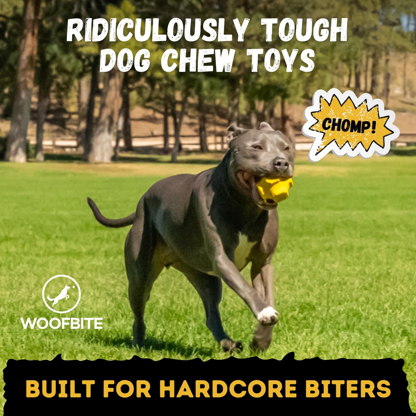 WoofBite Indestructible Jumping Jack Chew Toy - Lifetime Replacement - Durable Dog Toy for Aggressive Chewers - Safe, Non-Toxic Natural Rubber - Interactive, Chew & Fetch - Tough, Heavy Duty - 4.5”
