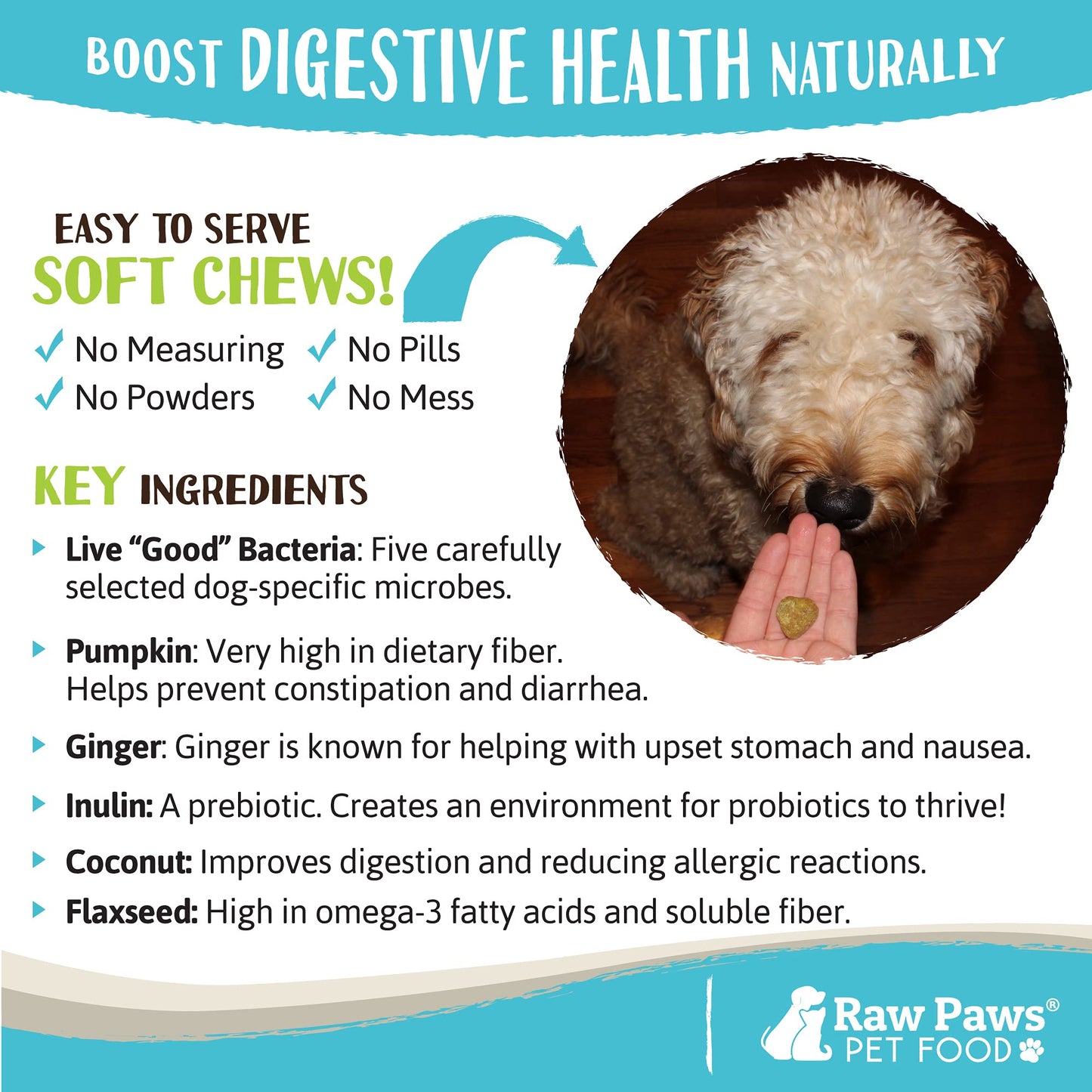 Raw Paws Natural Dog Probiotic Supplement with Prebiotics, 10-oz/100-ct - USA Made Daily Probiotic for Dogs Soft Chew - Treat Diarrhea in Dogs, Yeast, Dog Breath & Gas with Our Canine Probiotic Chews