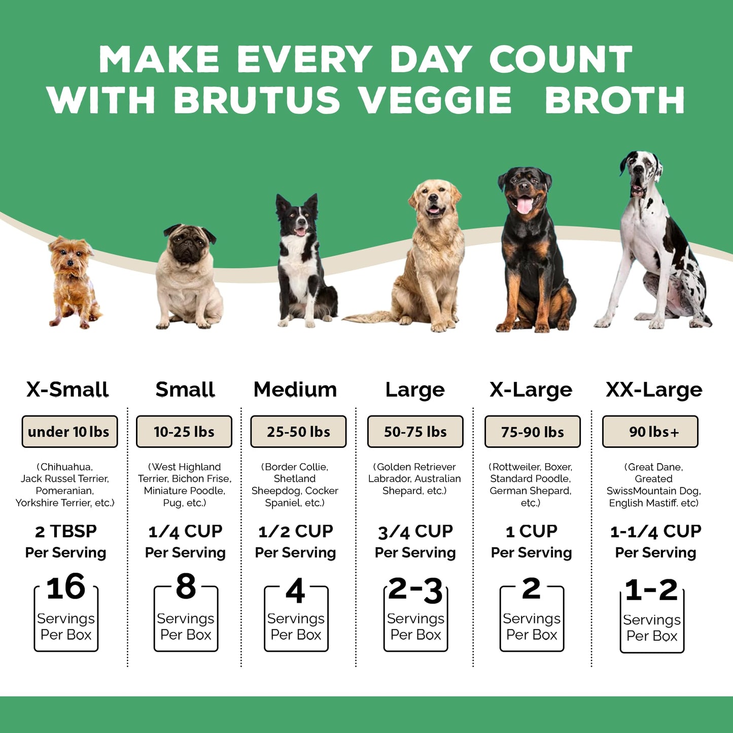 Brutus Vegetable Broth for Dogs 16.9 oz | All Natural | Made in USA | Omegas & Turmeric for Healthy Skin & Coat | Human Grade Ingredients | Hydrating Dog Food Topper, Gravy & Treat Salmon (Pack of 6)