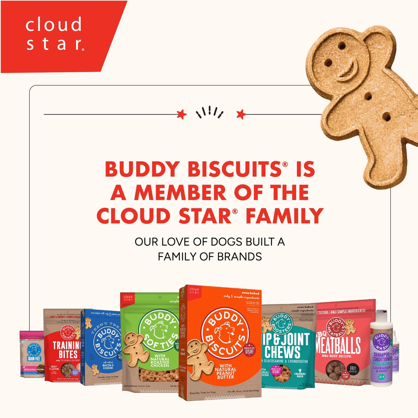Buddy Biscuits Boosters 5 oz. Bag of Hip and Joint Soft Chews Dog Treats Made with Natural Chicken